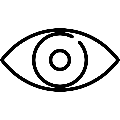 visible_icon
